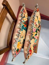 Load image into Gallery viewer, Velvet Floral + Pale Blue Frill