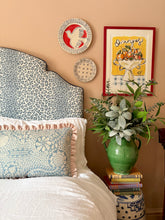 Load image into Gallery viewer, Blue Shell + Pale Pink Frill