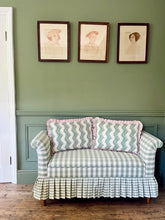 Load image into Gallery viewer, Green Scrolling Fern + Pink Narrow Stripe Frill