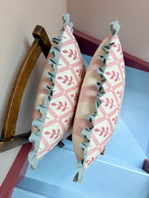 Load image into Gallery viewer, Pink Flower Trellis + Pale Blue Frill
