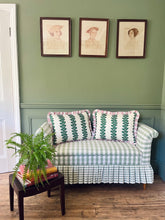 Load image into Gallery viewer, Green Fern Stripe + Pink Wide Stripe Frill
